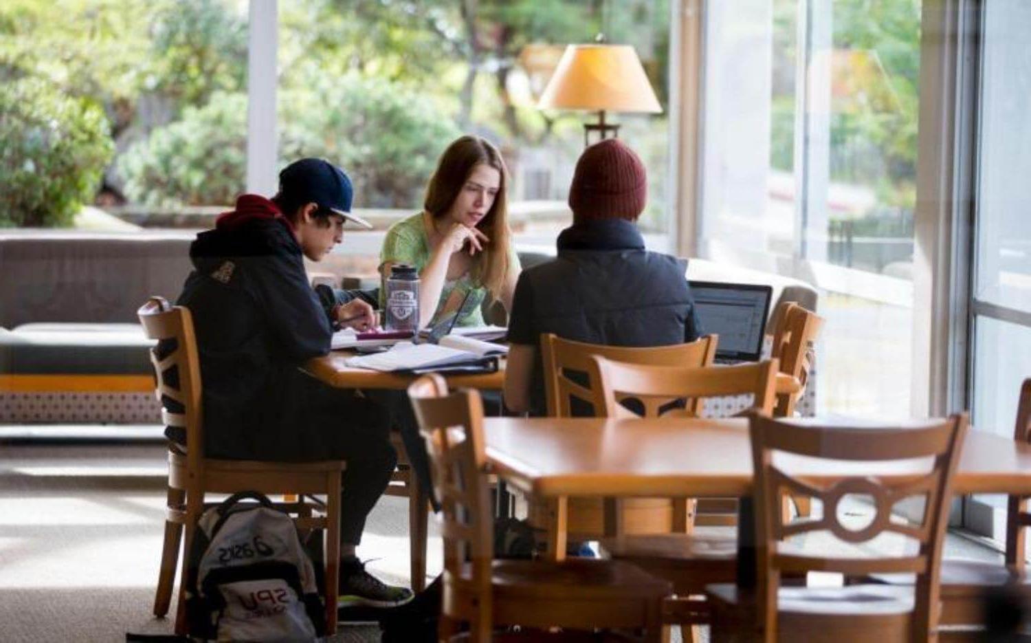 Students studying